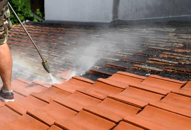 Best Roof Power Washing Services  in Rio, WI