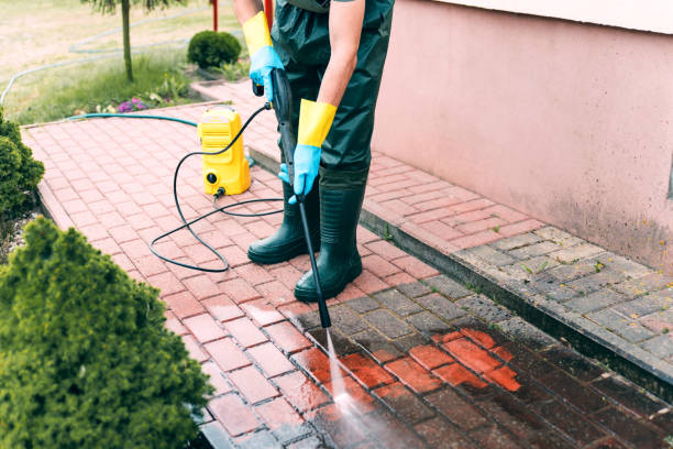 Best Local Pressure Washing Services  in Rio, WI