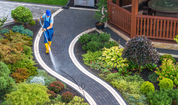 Best Power Washing Near Me  in Rio, WI