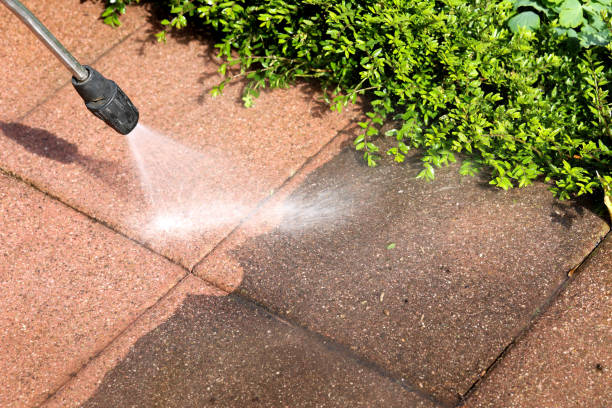 Best Exterior Home Cleaning  in Rio, WI