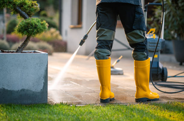 Best Pressure Washing Driveway  in Rio, WI